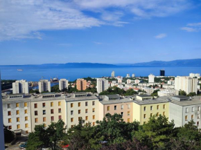 The city of Sušak